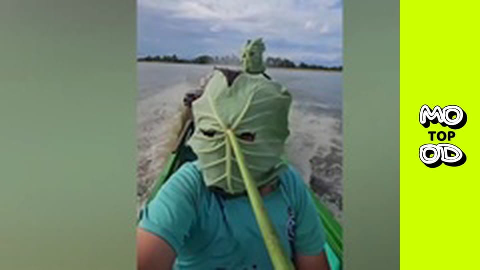 Top Mood, Сезон 2, Випуск 21