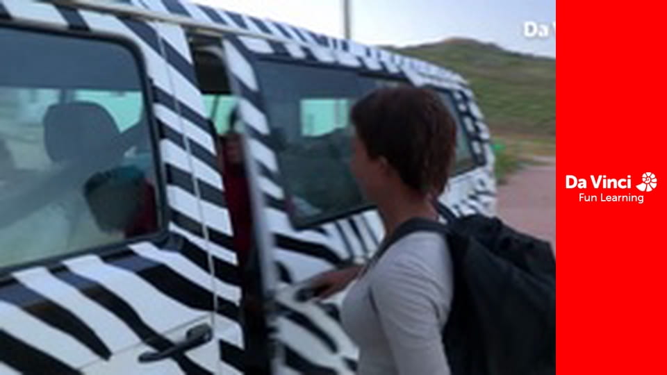 Сіяя - Рушайте з нами - Квітуча пустеля