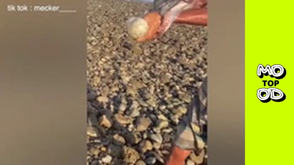 TopMood - Випуск 19