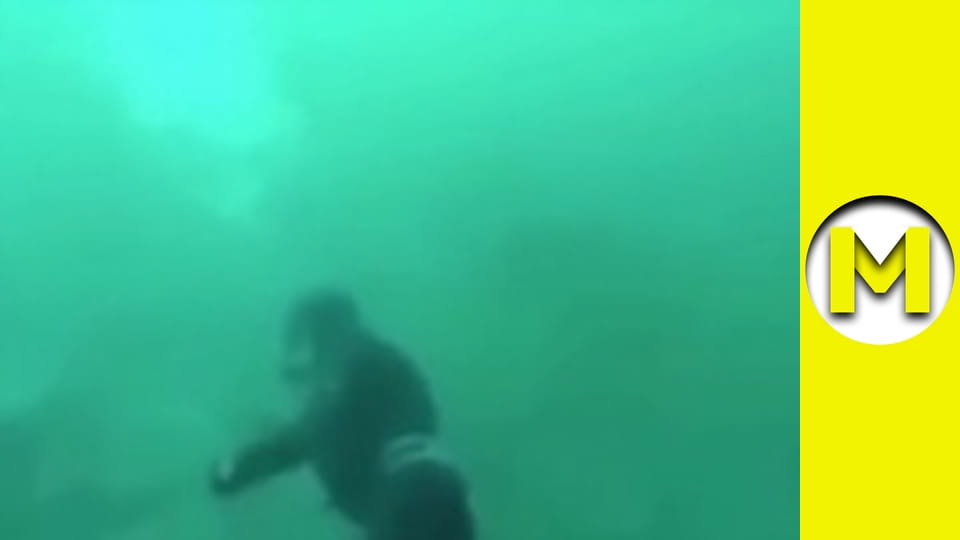 Max TV - сезон 1 - серія 79