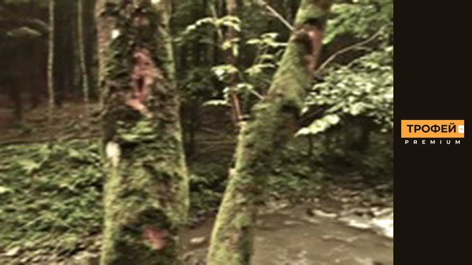 Адаптер. Серiя 7