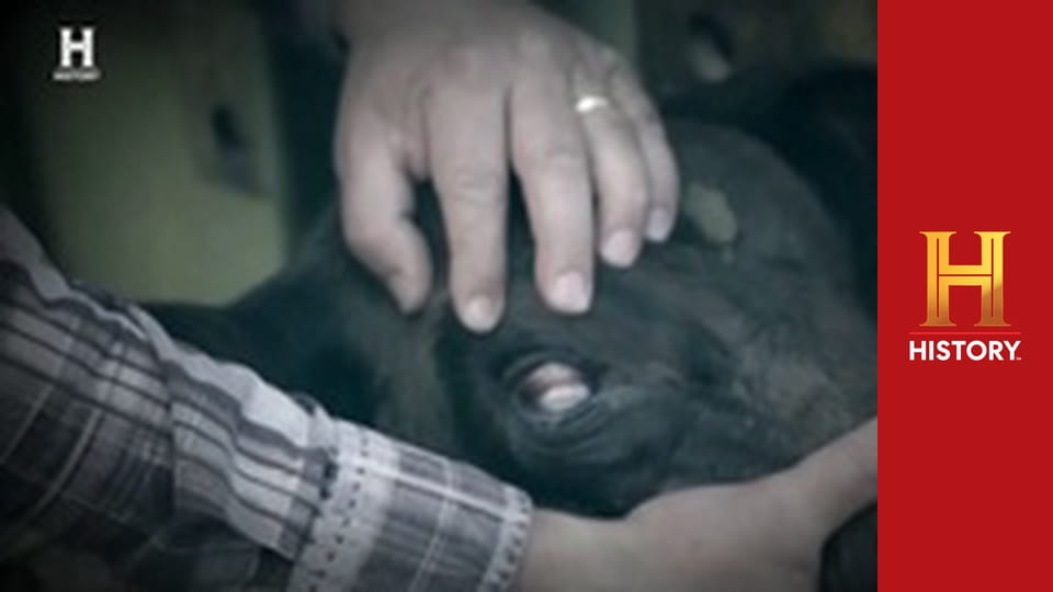 Проклятие ранчо Скинуокер, 6 сезон, 8 эп. Летная погода.