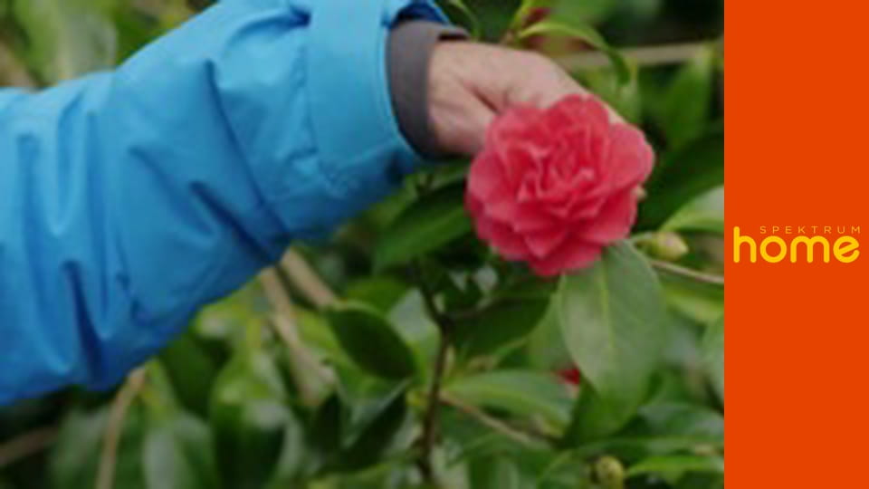 Ukážeme vám jak na zahradu - jarní sezona S2E8