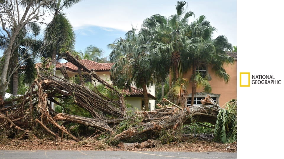 Pusztító természet S1E5 - 2008 – 2009