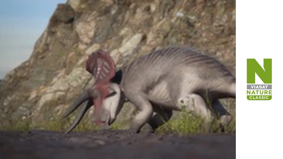 В поисках затерянных зверей Сезон 2 Эпизод 5