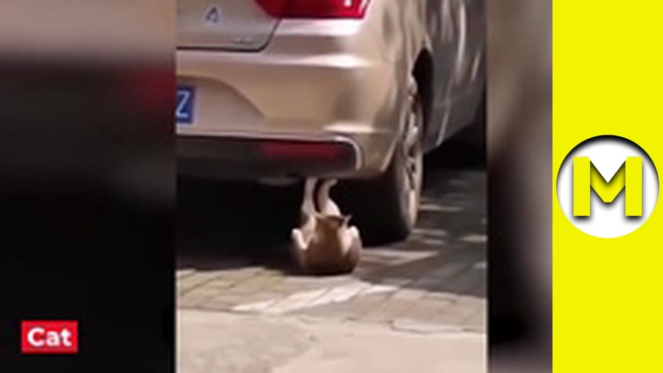 Max TV - сезон 1 - серія 23