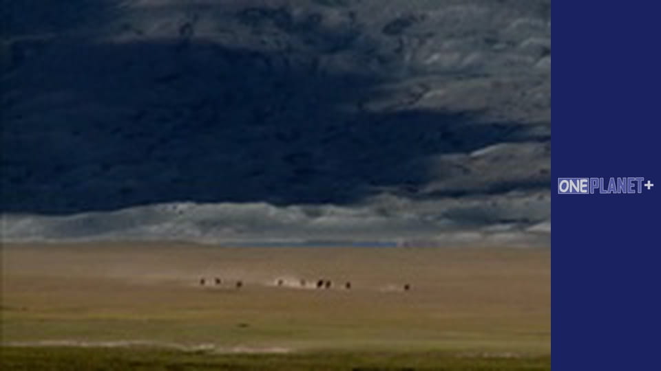 Подорож у Минуле, Випуск 6