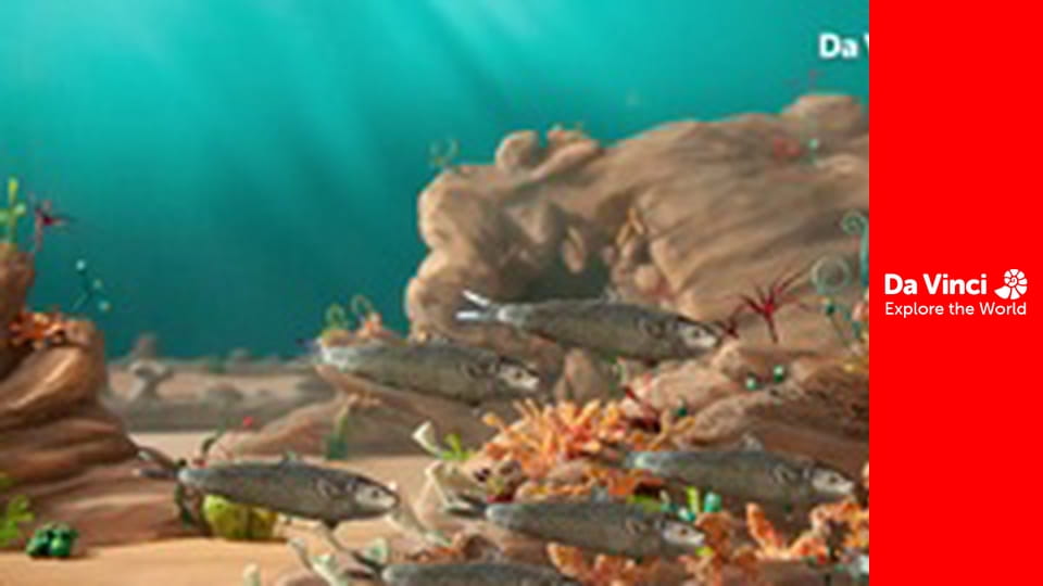 Дитинчата - Риби-папуги