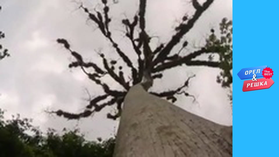 100 доларів, Випуск 67