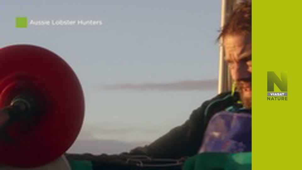 Veterinári pre nezvyčajné domáce zvieratá (2)