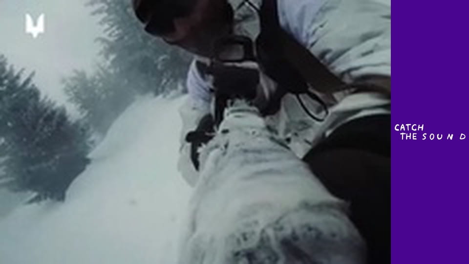 Гаррі Шульц, SKOFKA, Yaski - Вовк