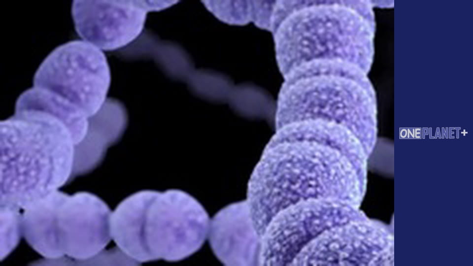 В поисках знаний. - cерия 11