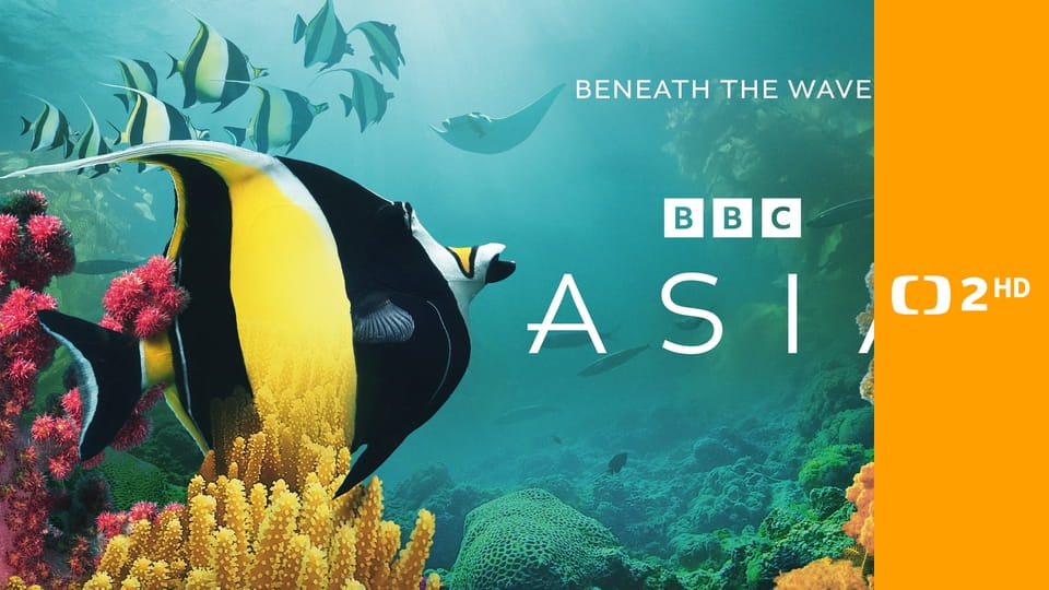 Asie E5 - Přeplněný kontinent