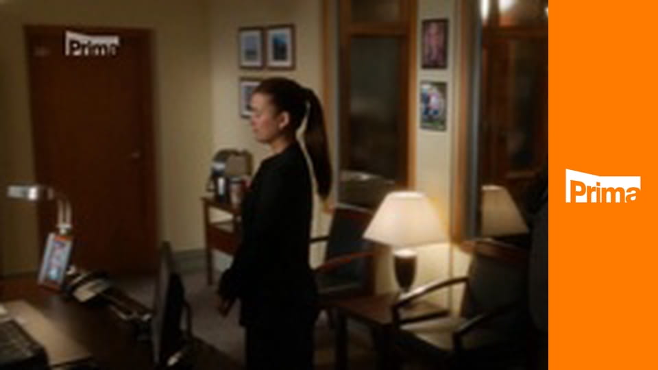 Námořní vyšetřovací služba S9E4 - Nepřítel na kopci