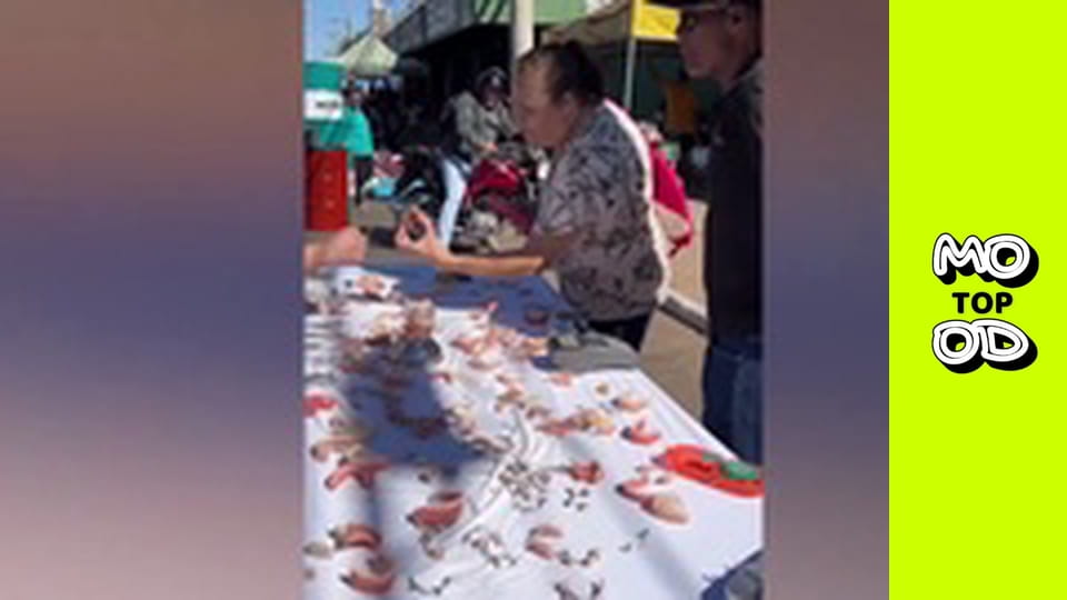 Top Mood, Сезон 2, Випуск 13