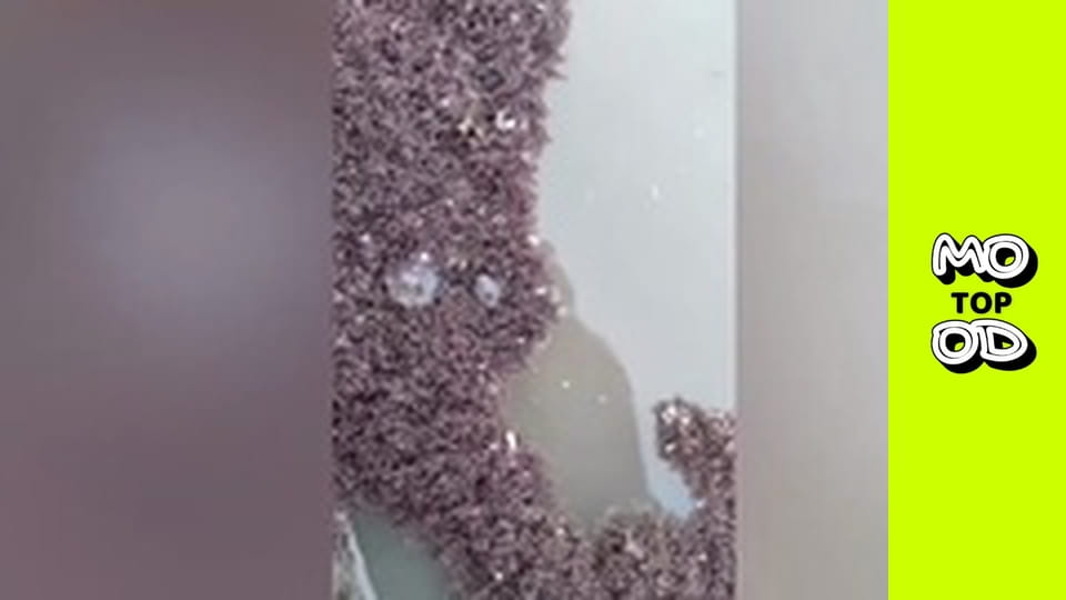 Top Mood, Сезон 2, Випуск 23