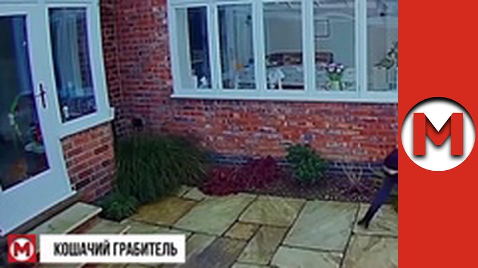 "Max TOP" season 1 series 10