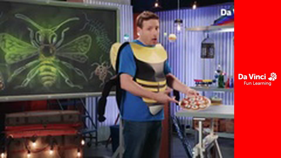 Вибухова наука - Метушня через комах