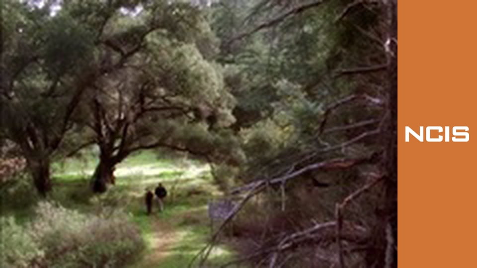 NCIS: Полювання на вбивцю Сезон 2 Епізод 15