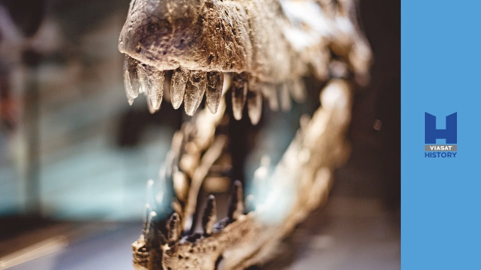 Прокляті скарби S1E1