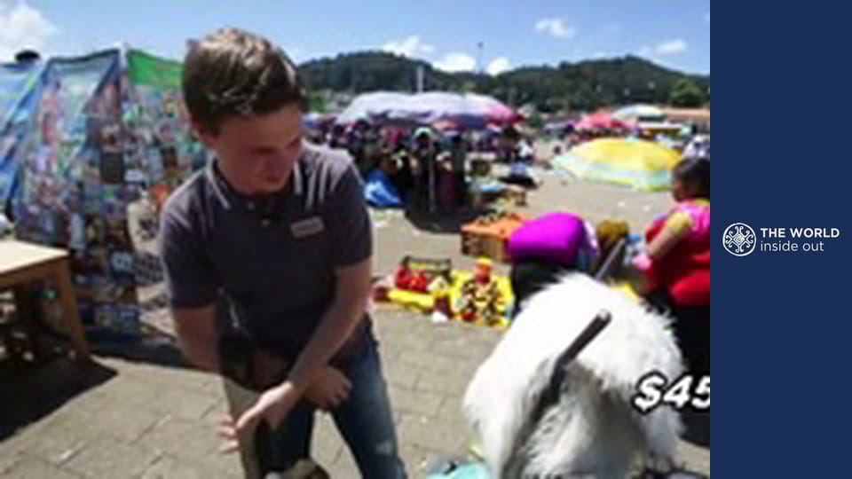 Latin America. The Tzotzil. The City of Tequila.