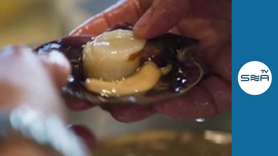 Дары моря - Клешни и створки