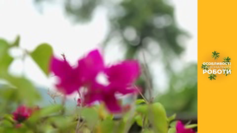 Особенности национальной работы, Сезон 1, Выпуск 8