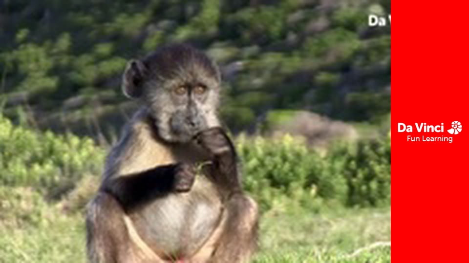 Сіяя - Рушайте з нами - Під водою