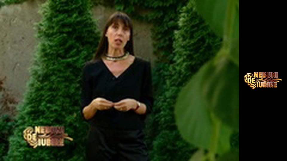 Nebuni de iubire Сезон 1 Епізод 16