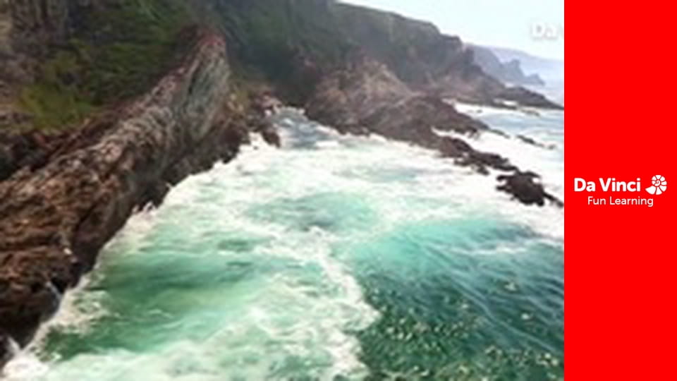 Сіяя - Рушайте з нами - Зачарований ліс