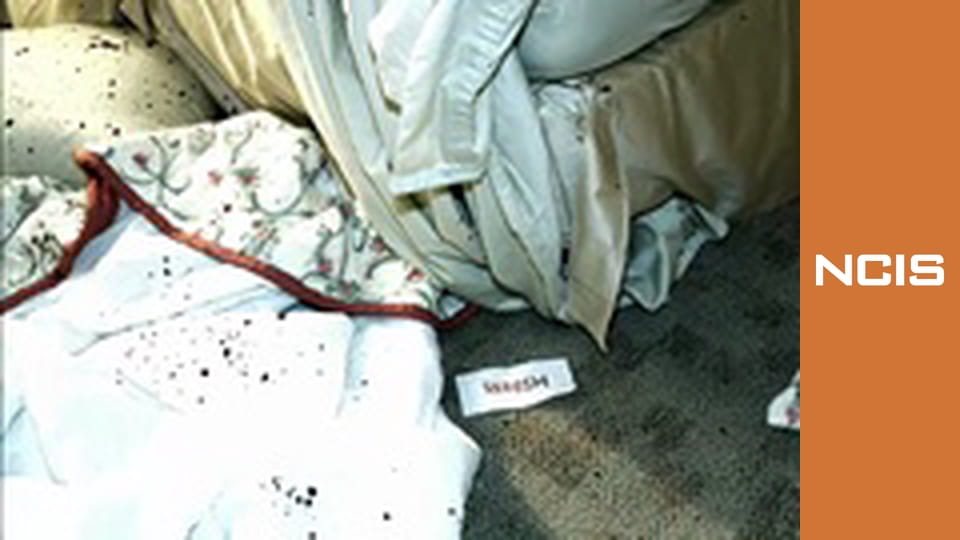 NCIS: Полювання на вбивцю Сезон 3 Епізод 21