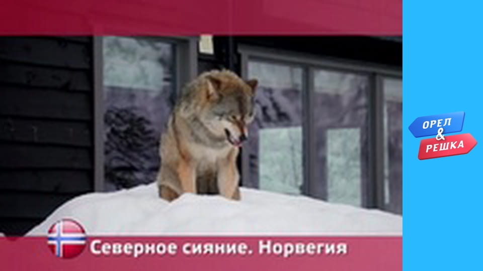 Дива світу 2 - Північне сяйво. Частина 2