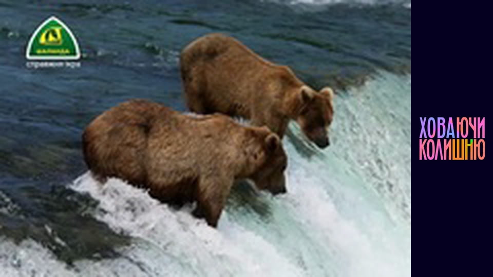 Рекламный блок