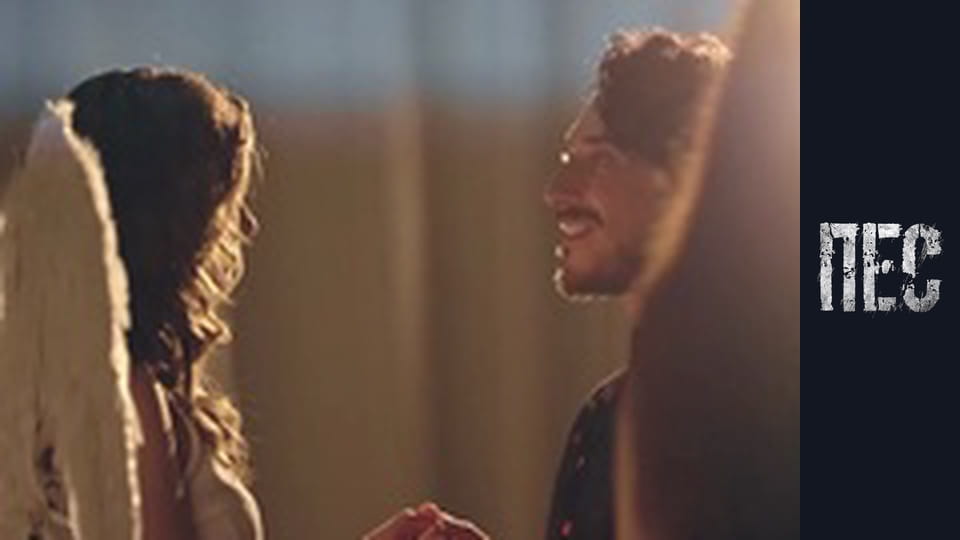 Пёс, Сезон 6, Серия 15