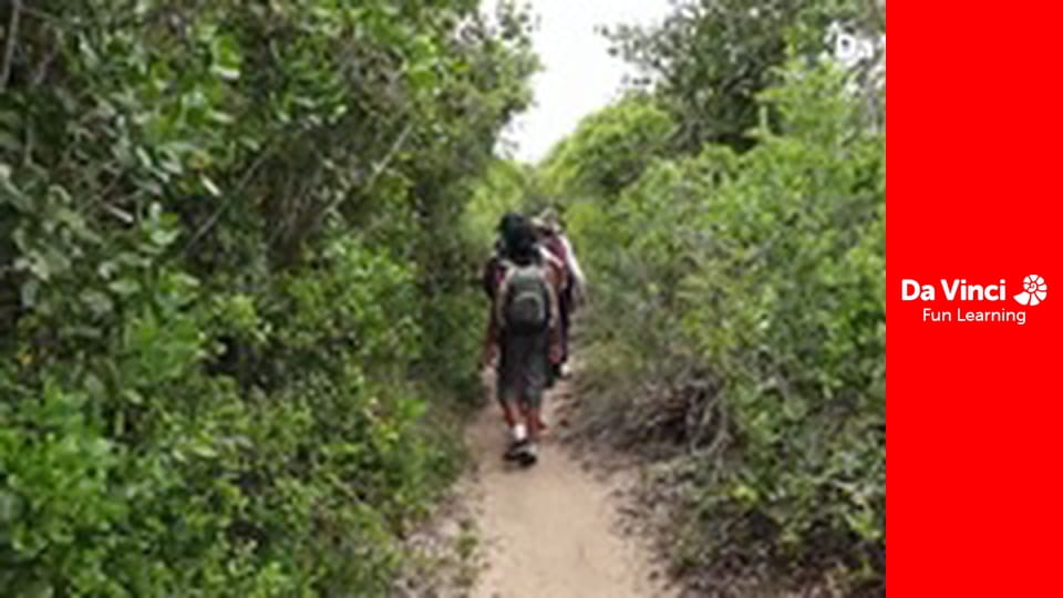 Siyaya - Wildest Cape - Robberg - The Exploration Continues