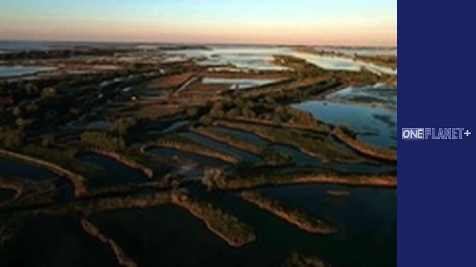 Мистецтво Простору. - серия 29