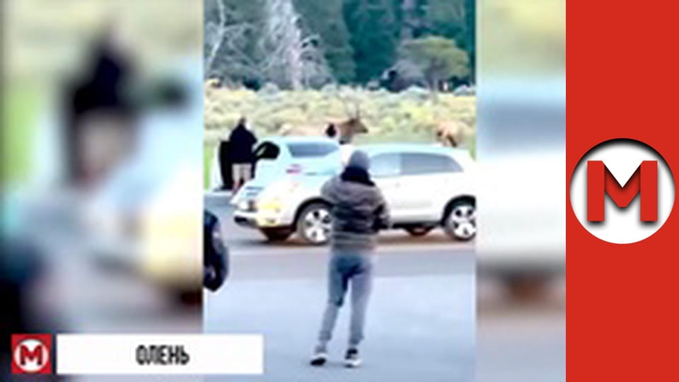 "Макс ТОП" сезон 1 серия 25