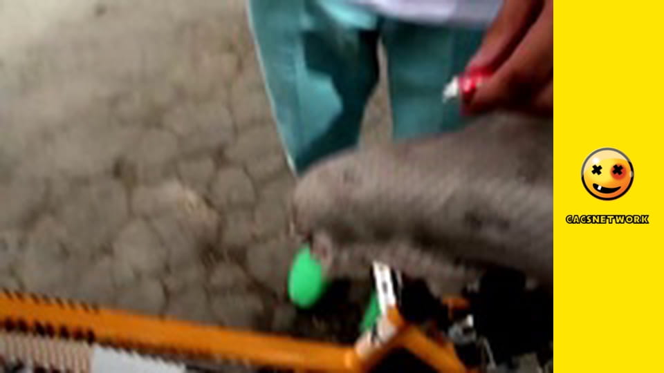 2Rude4UTube, 54 еп.