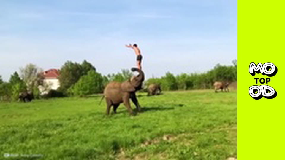 Look Up Show Сезон 3 Епізод 17