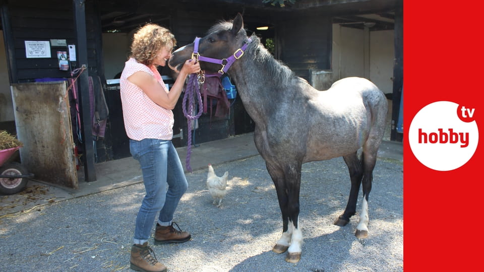 Dvojnásobný život za poloviční cenu E23