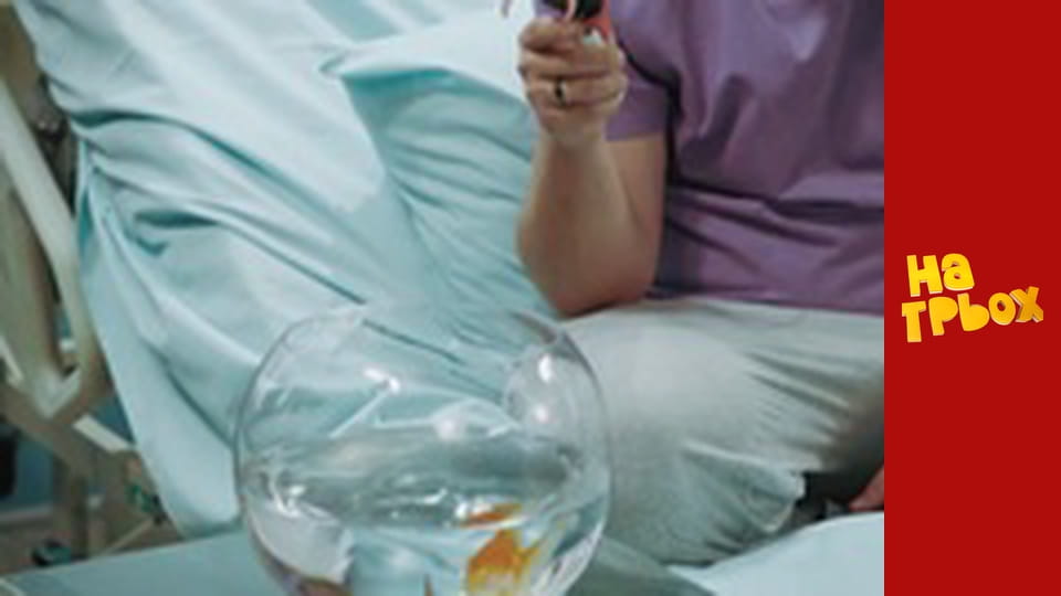 Сезон 6 Эпизод 23