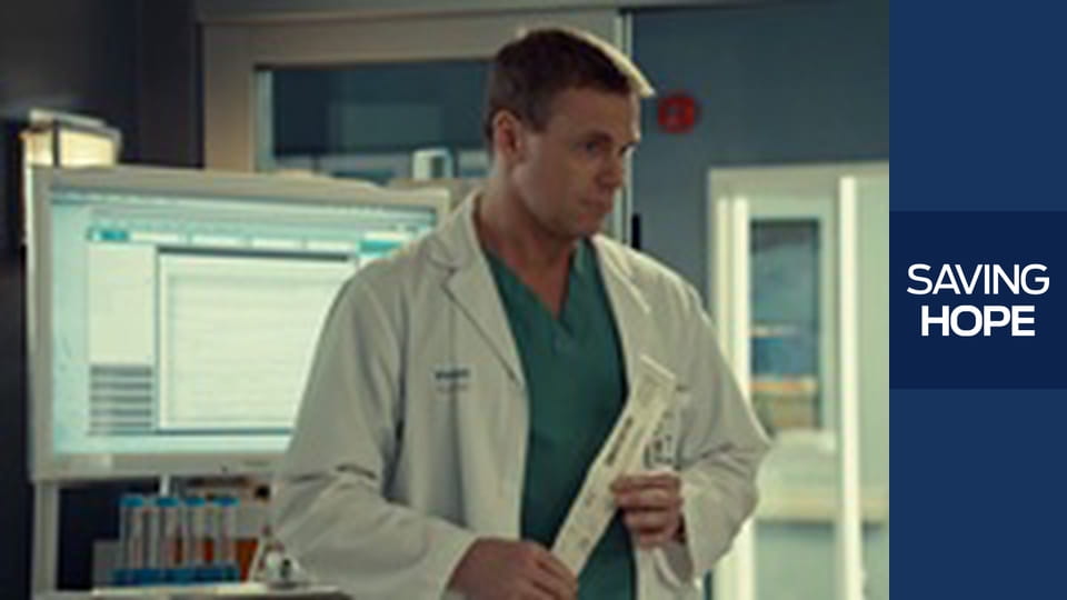 Zwierzęta pociągowe S4E2