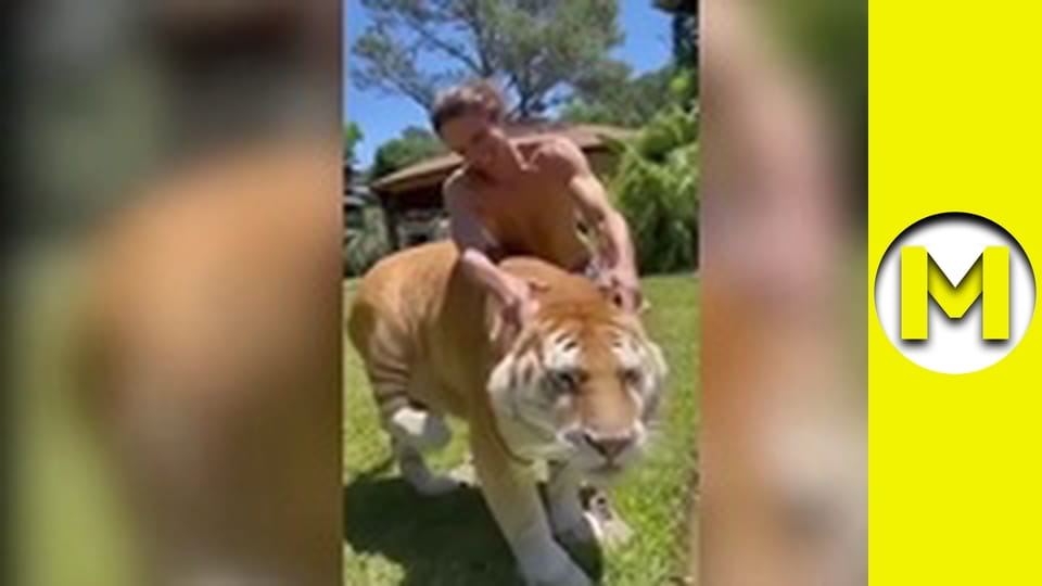 Max TV - сезон 1 - серія 94