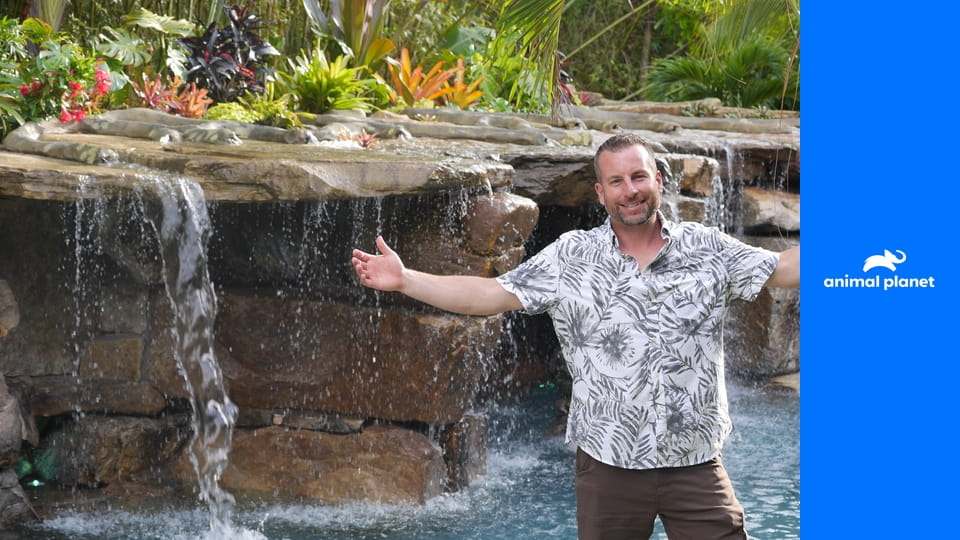 Невероятные бассейны S3E2 - Пина колада у бассейна