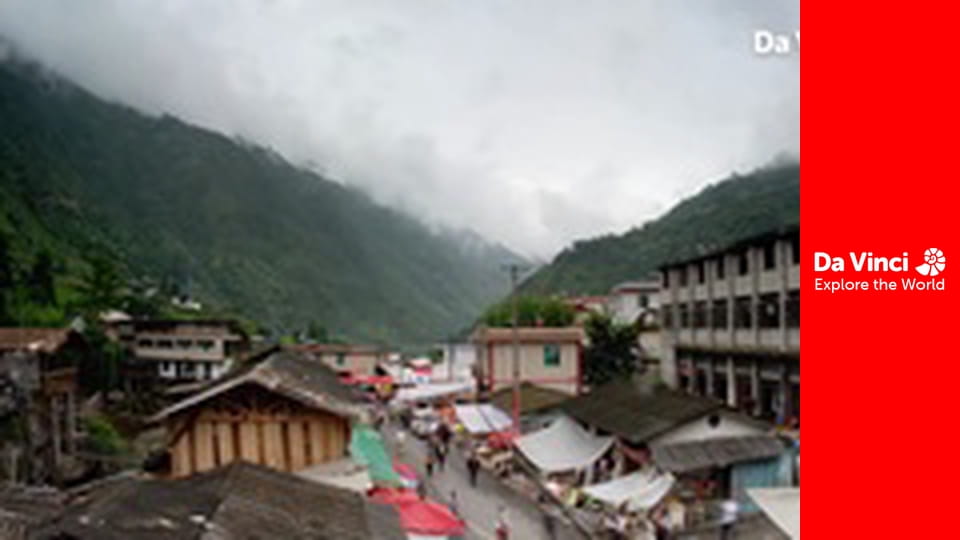 Бунтівні тварини - Пастка аморфофаллуса півонієлистого