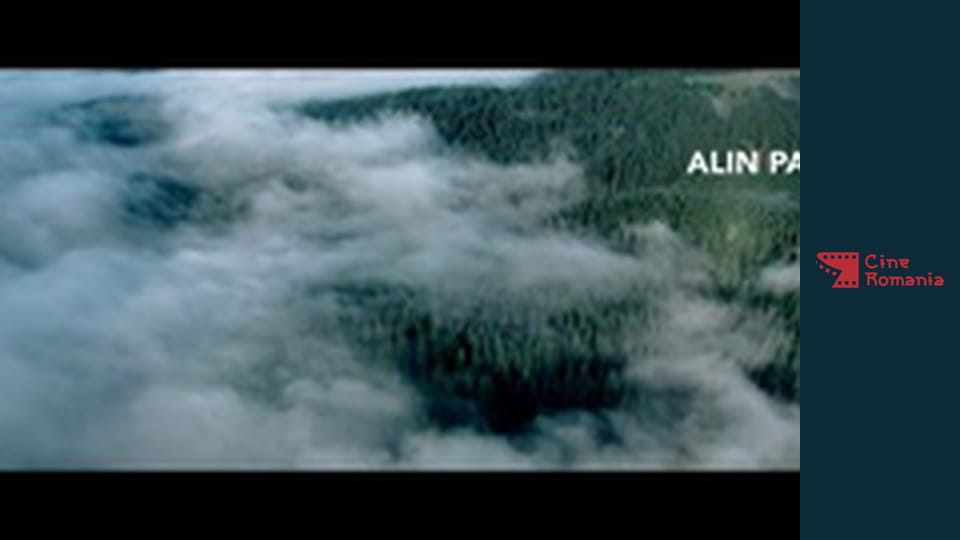 Pup-o, ma2! The crazy bride