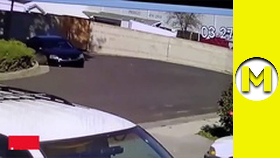 Max TV - сезон 1 - серія 28