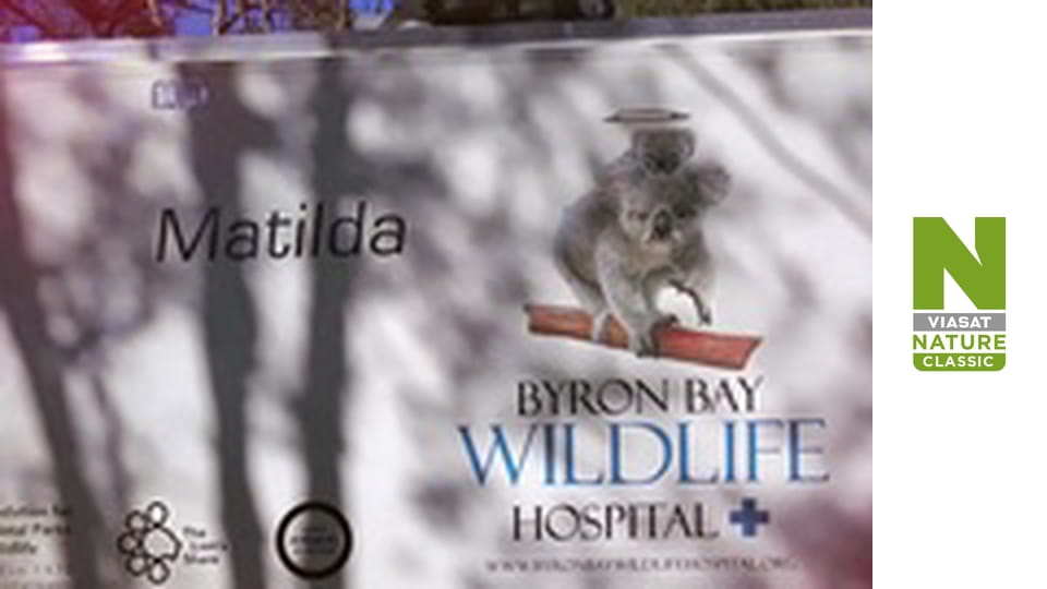 Wildlife Rescue Australia Season 1 Episode 6