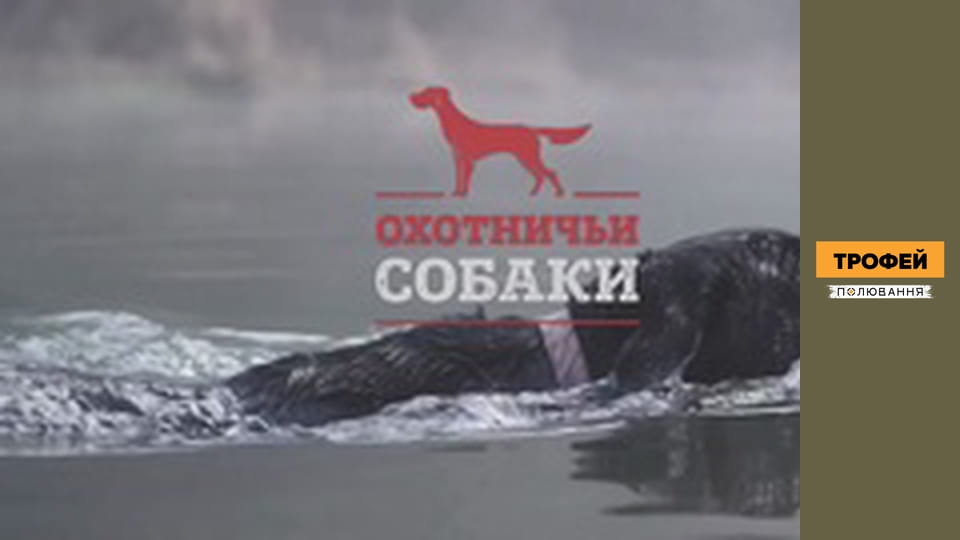 Hunting dogs. Season 1 Episode 20