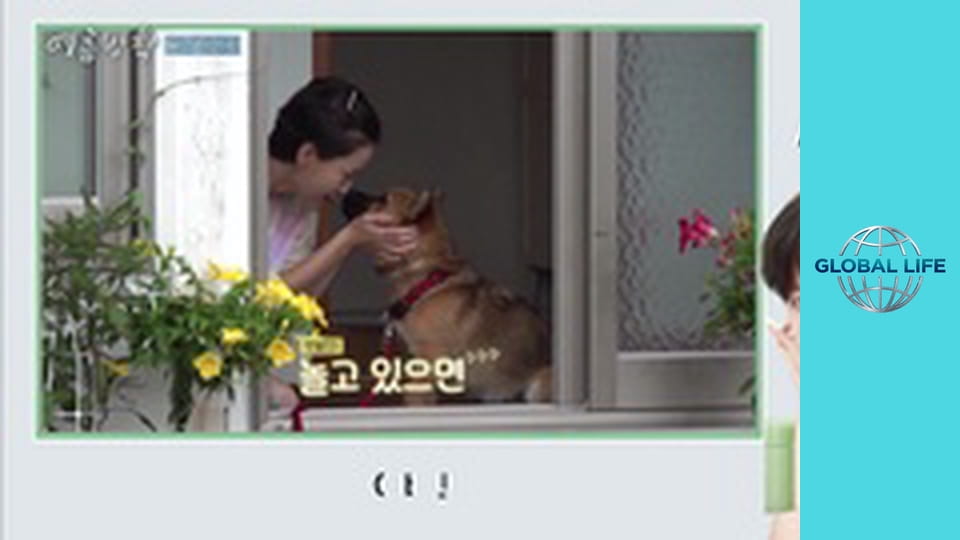 Our Little Summer Vacation Season 1 Episode 9